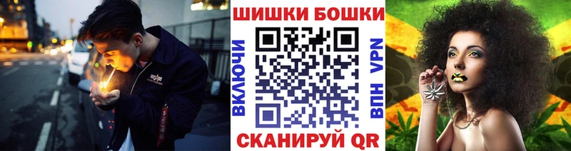 Бошки Шишки план  Балтийск 